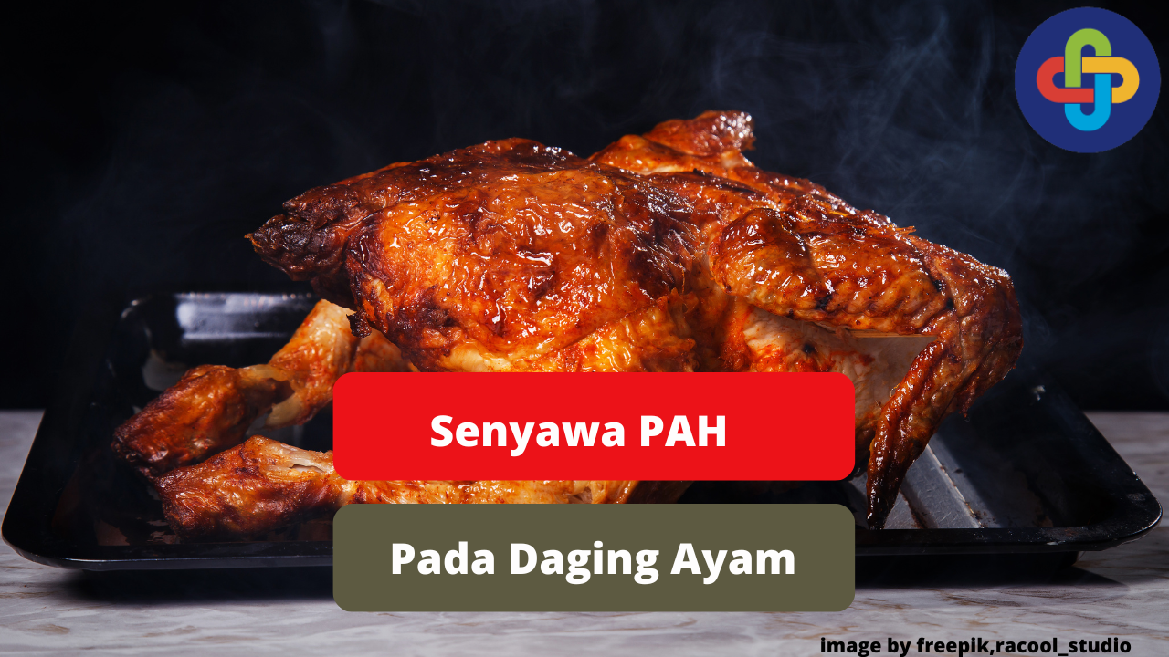 Ketahui Senyawa PAH Pada Daging Ayam Agar Tetap Sehat